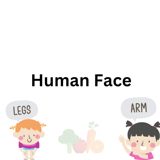 Human Face